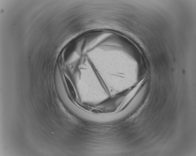 X0000073731513200608311832