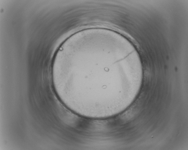 X0000073731514200608311832