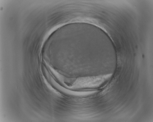 X0000073731515200608311832