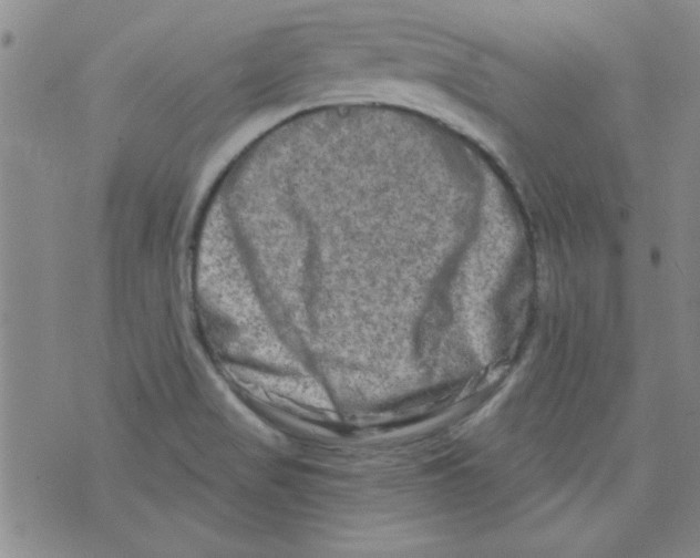 X0000073731517200608311832