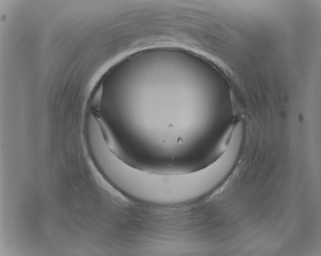 X0000073731518200608311832