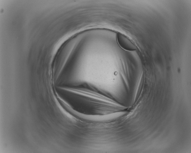 X0000073731519200608311832