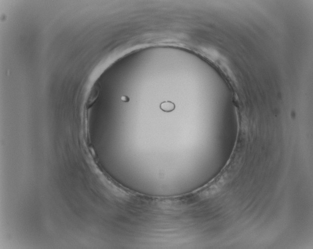 X0000073731520200608311832