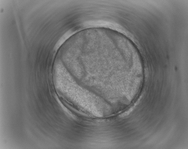 X0000073731521200608311832