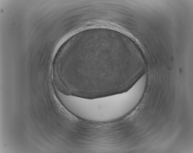 X0000073731522200608311832