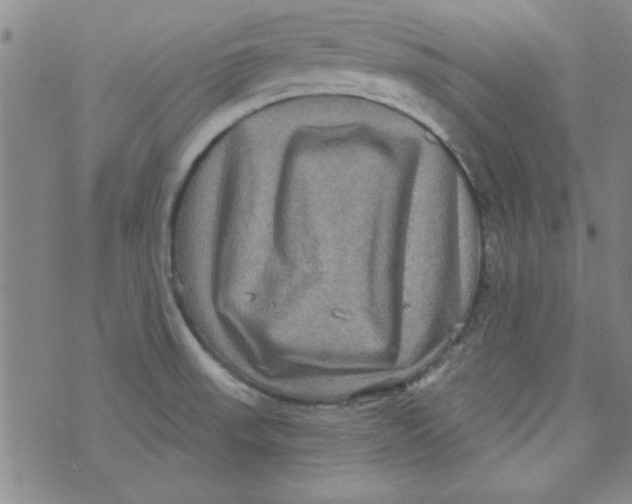 X0000073731523200608311832