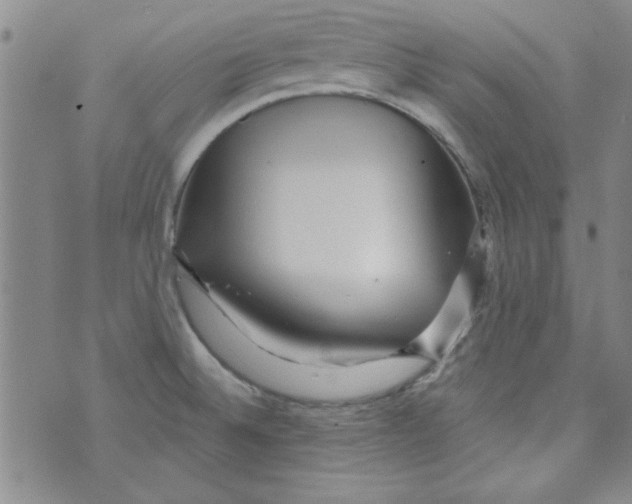 X0000073731524200608311832