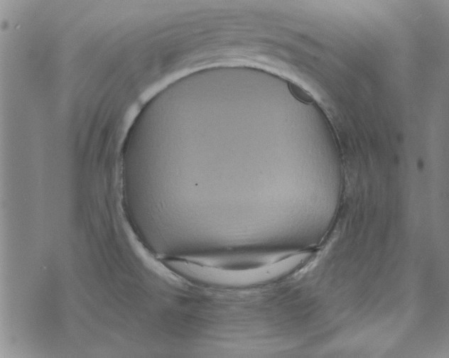 X0000073731526200608311832