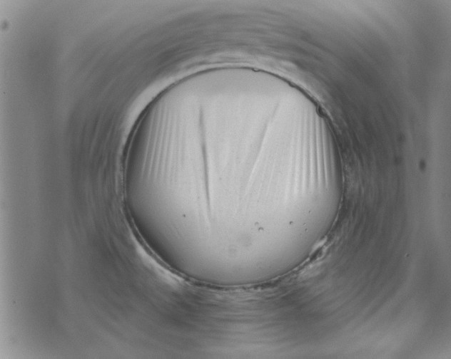 X0000073731527200608311832