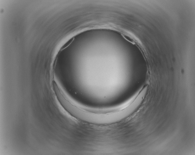 X0000073731528200608311832