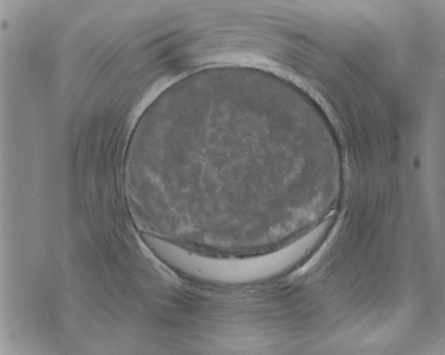 X0000073731529200608311832