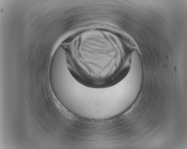 X0000073731530200608311832