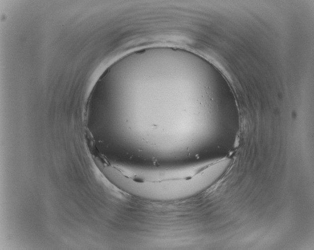 X0000073731532200608311832