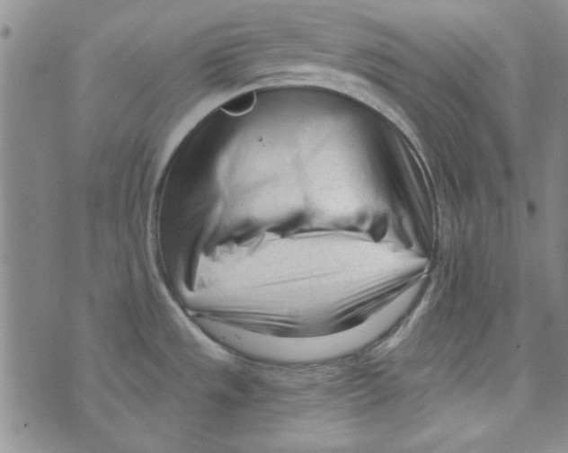 X0000073731533200608311832