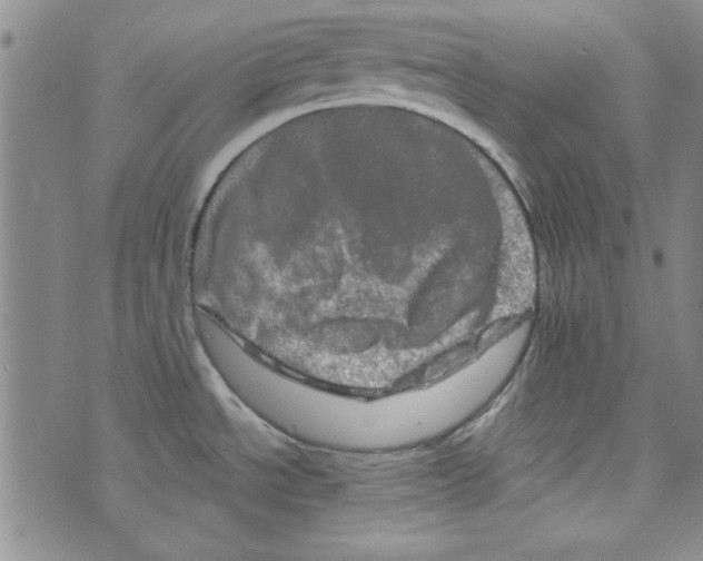 X0000073731534200608311832