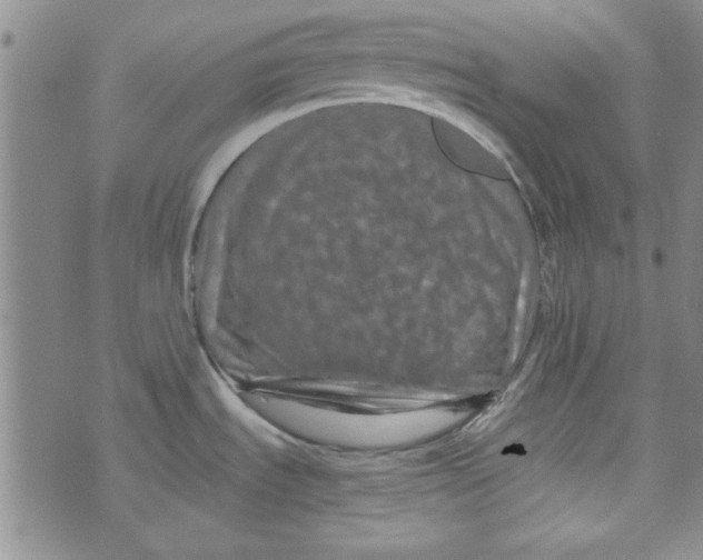 X0000073731535200608311832