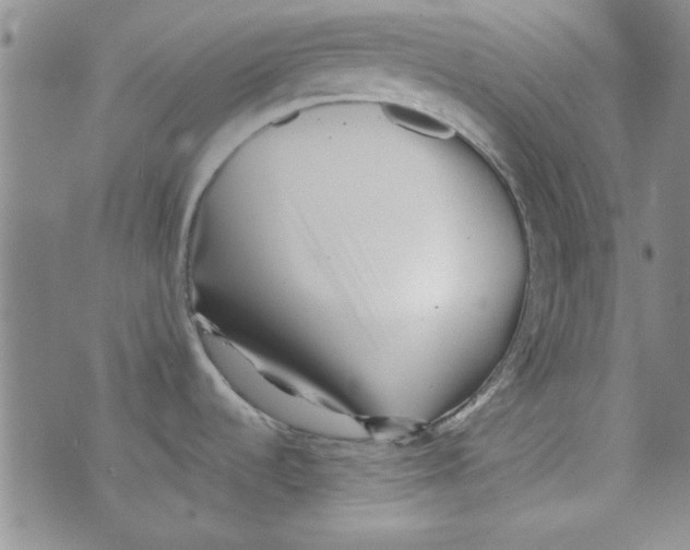 X0000073731536200608311832