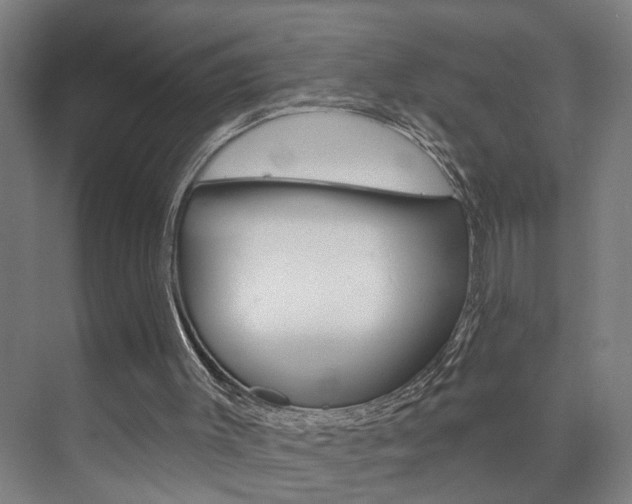 X0000073740003200608031121