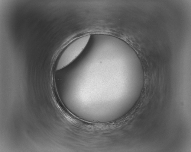 X0000073740005200608031121