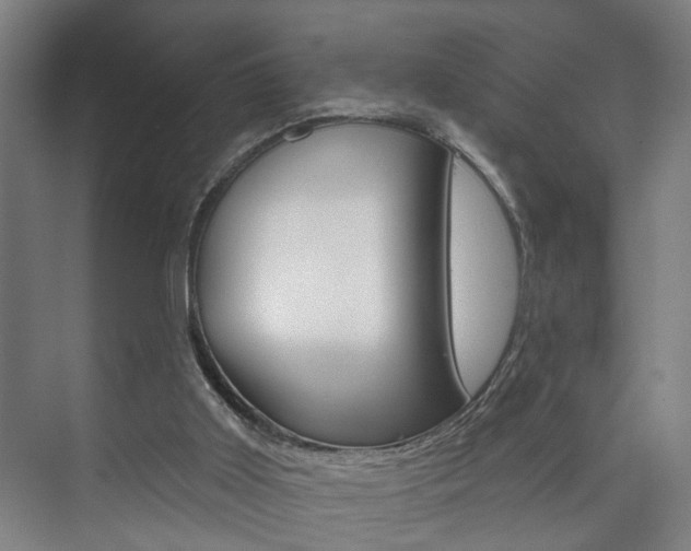 X0000073740011200608031121