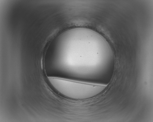 X0000073740019200608031121