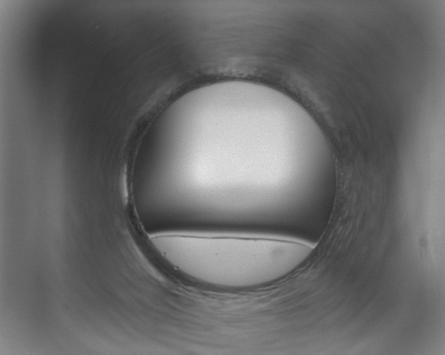 X0000073740020200608031121