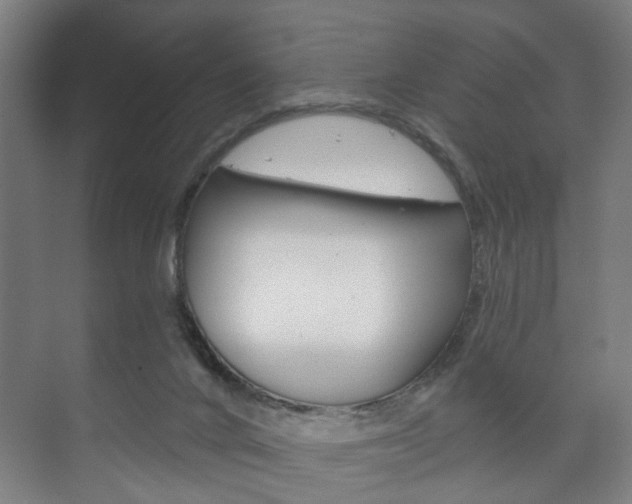 X0000073740024200608031121