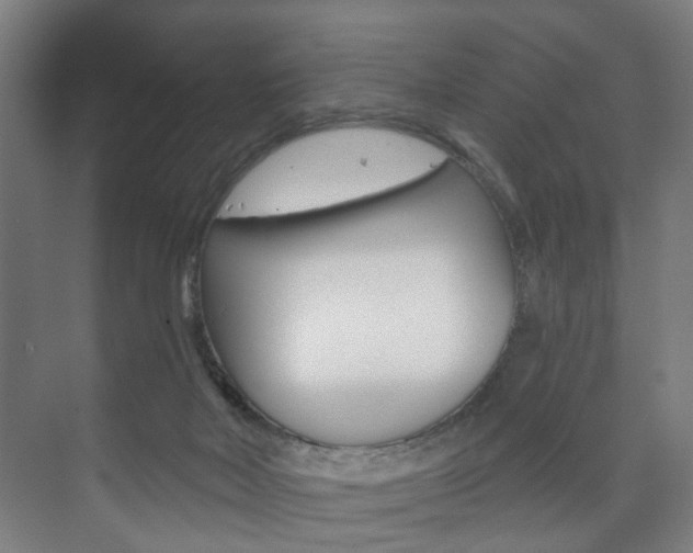 X0000073740026200608031121