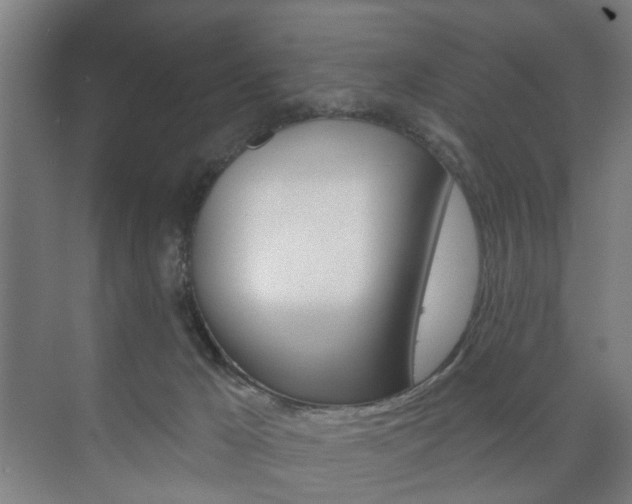 X0000073740029200608031121