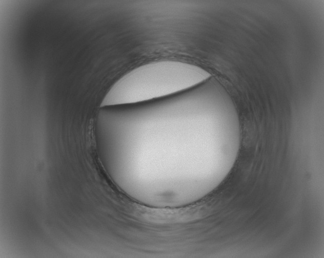 X0000073740034200608031121