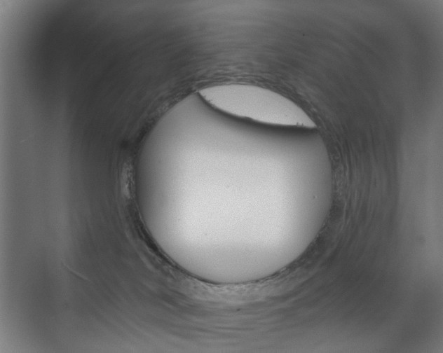 X0000073740038200608031121