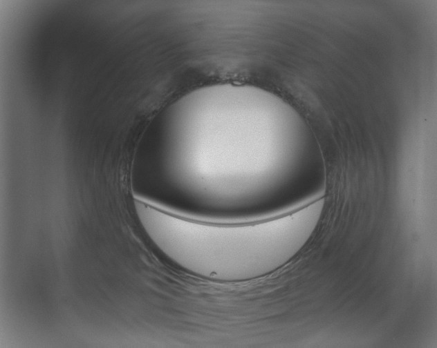 X0000073740039200608031121