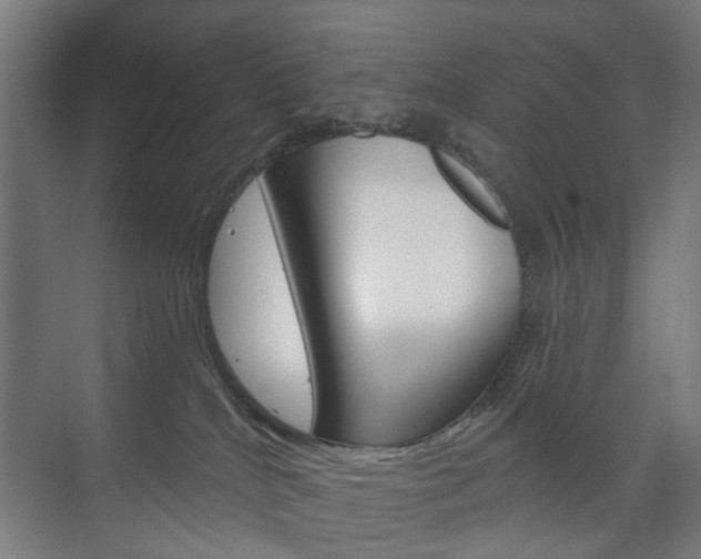 X0000073740040200608031121