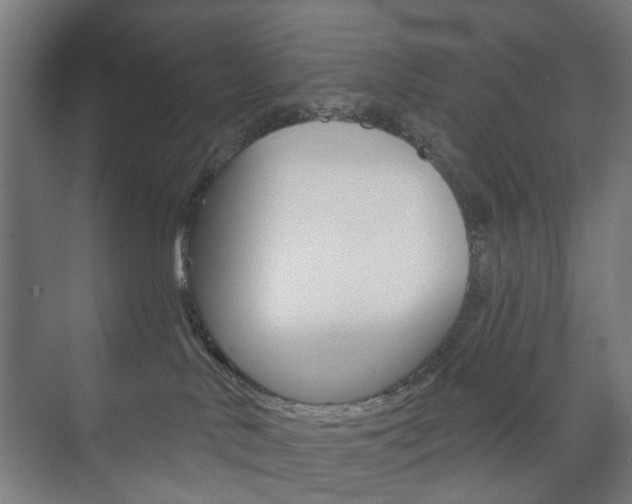 X0000073740042200608031121