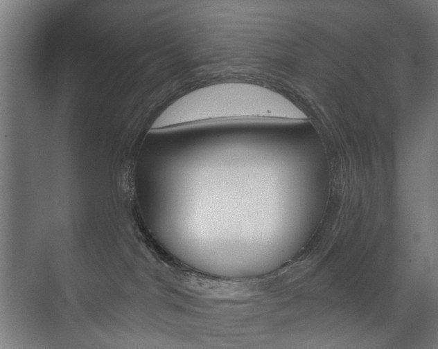X0000073740044200608031121