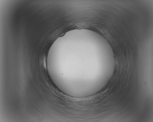 X0000073740046200608031121