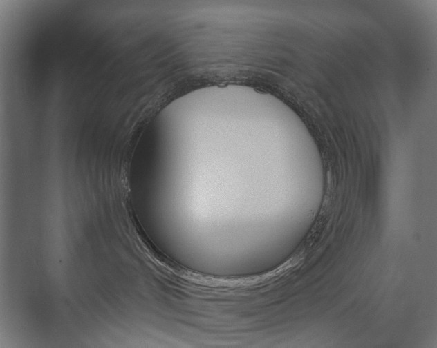 X0000073740048200608031121