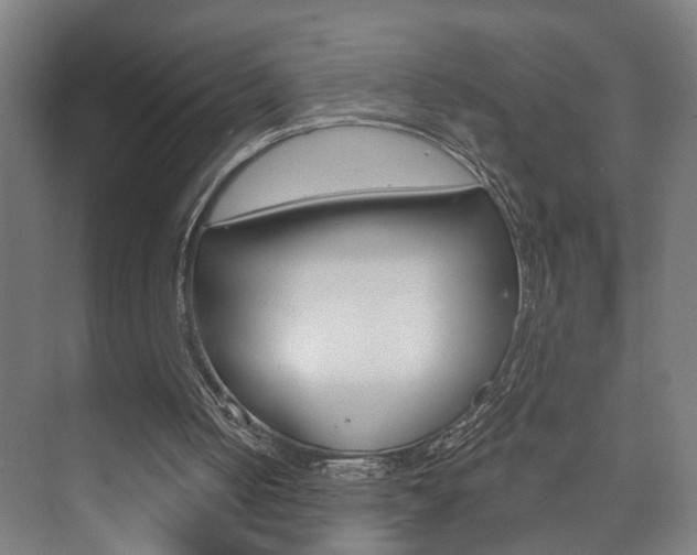 X0000073740050200608031120