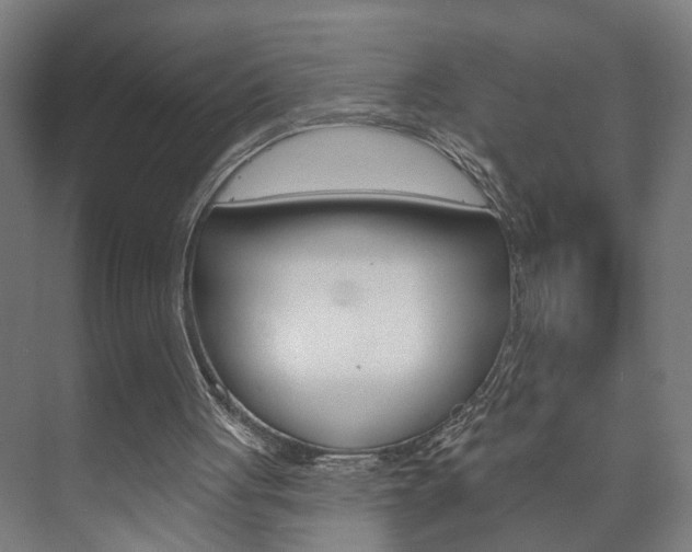 X0000073740051200608031120