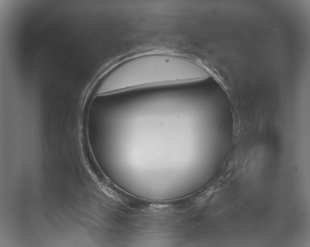 X0000073740055200608031120