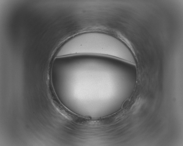 X0000073740059200608031120
