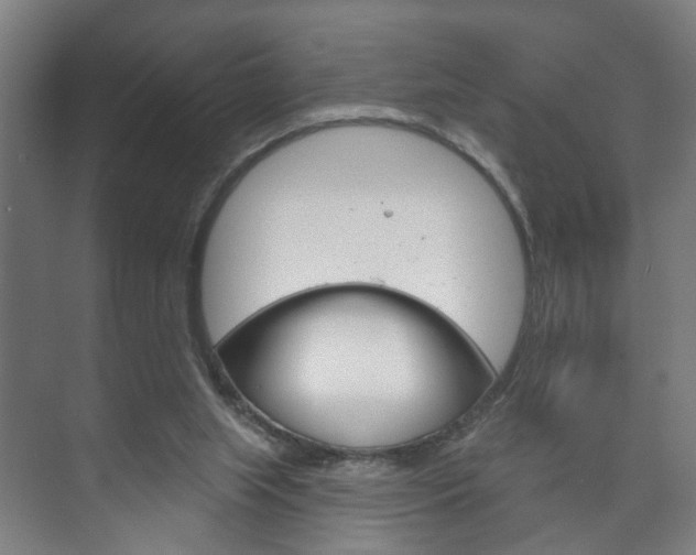 X0000073740063200608031120