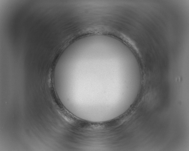 X0000073740065200608031120