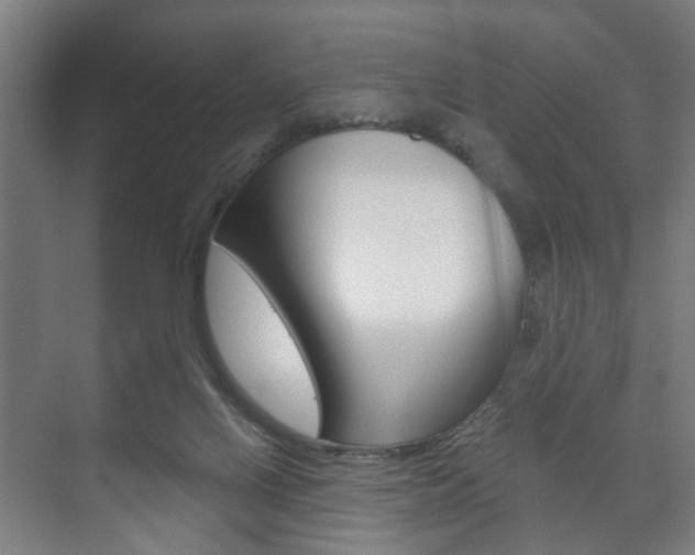 X0000073740070200608031120