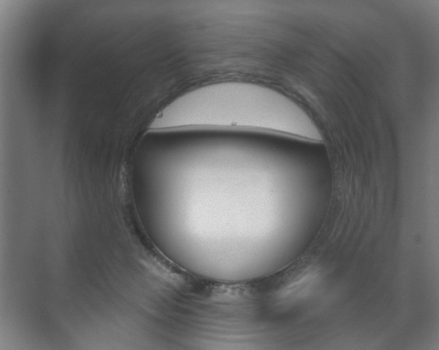X0000073740077200608031120