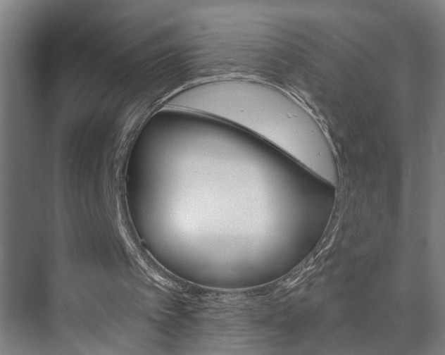 X0000073740097200608031120