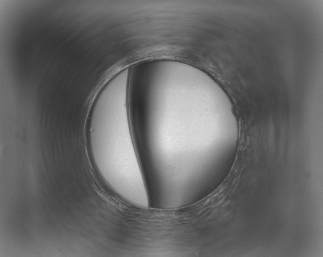 X0000073740099200608031120