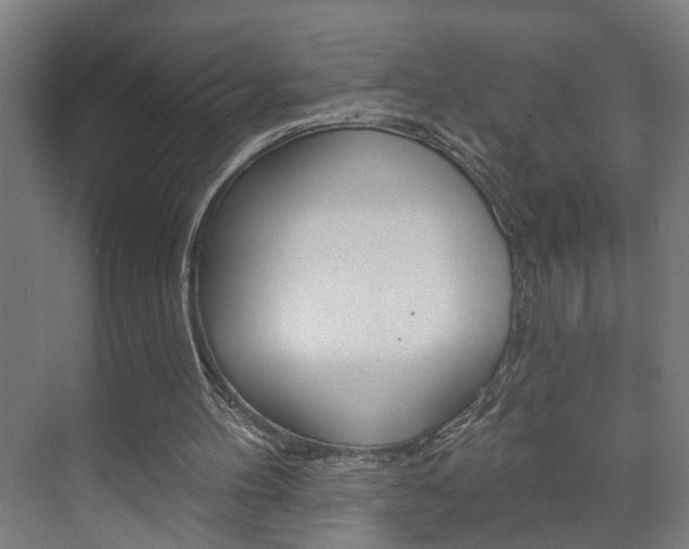 X0000073740100200608031120