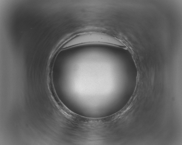 X0000073740101200608031120