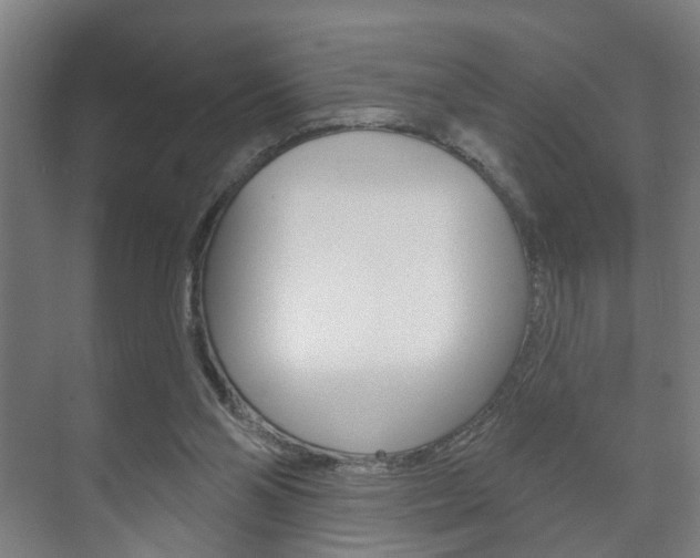 X0000073740110200608031120